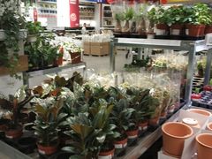 -宜家家居(哈尔滨商场店)