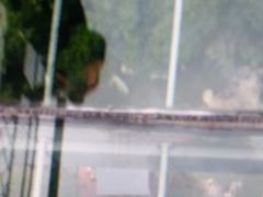 -福建天门山