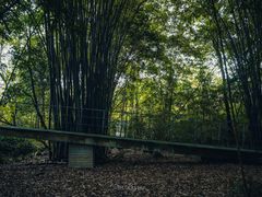 -鹿野苑石刻艺术博物馆