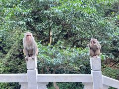 -黔灵山公园