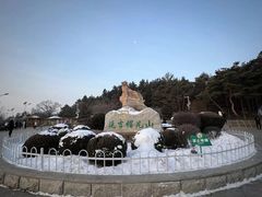 -帽儿山国家森林公园