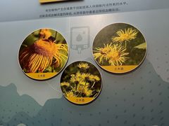 -天津自然博物馆