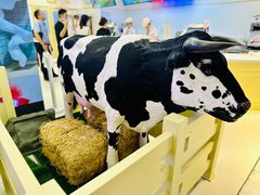 -红星前进面包牛奶公司(君太店)