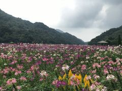 -广州市石门国家森林公园