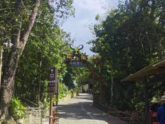 -海南槟榔谷黎苗文化旅游区