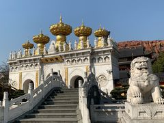 -上海东林寺(金山区)