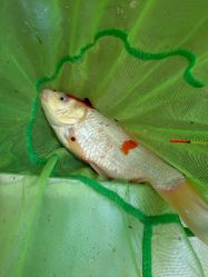 -巡鱼道·室内垂钓·渔具店