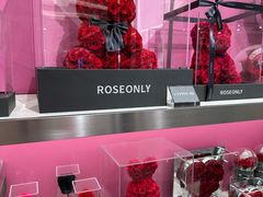 -ROSEONLY诺誓(沈阳万象城店)