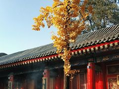 -西安市广仁寺