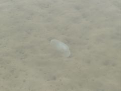 -东戴河风景区-止锚湾