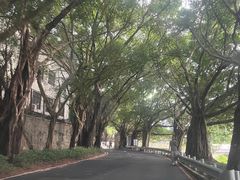 -深圳市罗湖体育馆
