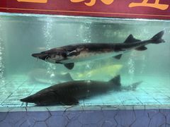 -年辉渔村·非遗传承餐厅(新丰江店)