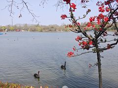 -上海野生动物园
