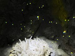 -正佳自然科学博物馆