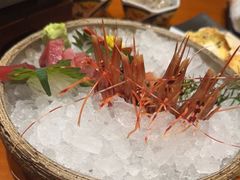 -月龍吟(朝龙汇店)