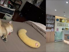 -美迦爱-牙专科·兔科·骨科诊疗中心(北苑店)