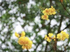 -成都市活水公园