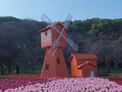 -苏州上方山国家森林公园