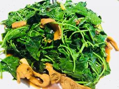 -新梅华(太仓万达店)
