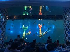 -瑞德姆美人鱼海底演艺主题餐厅(亚龙湾店)