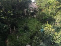 -普陀山风景区-佛顶山
