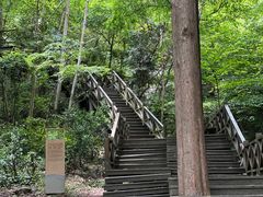 -天明山温泉大酒店