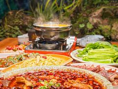 -青城甲(青城山店)