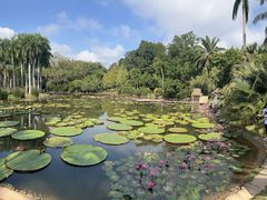 -中国科学院西双版纳热带植物园