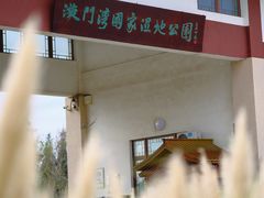 -漩门湾国家湿地公园