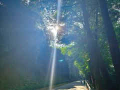 -风云岭森林公园