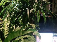 -West10 西拾·西餐厅·创意菜(未来科技城店)