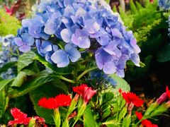 -人民公园(罗湖区)