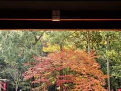 -醍醐寺