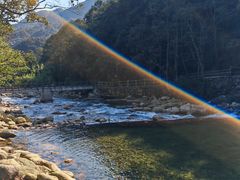 -姑婆山旅游区