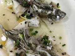 -八仔大富楼·河鲜(西江店)