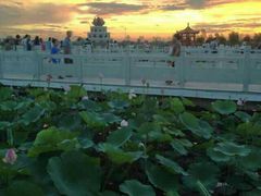 android_upload_pic-灵山莲花公园-温泉度假区