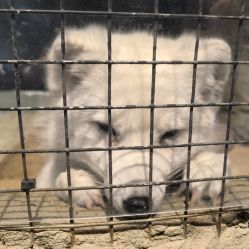 -酷嗒动物文化乐园(cutezoo西溪乐天城店)