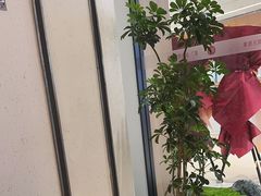 -常乐·对症推拿(招商大魔方第160分店)