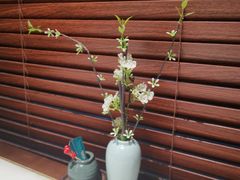 -佬麻雀·剁椒鱼头(京基KK One店)