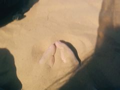 -亿利库布其七星湖沙漠生态旅游区