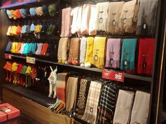 -酷乐潮玩(五道口购物中心店)