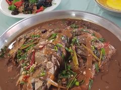 -庆岭迎宾园正宗活鱼馆