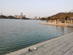 -顺峰山公园