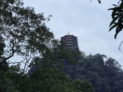 -青城山