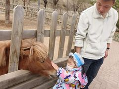 -鄂尔多斯野生动物园