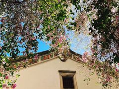 -深圳国际园林花卉博览园