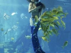 -太平洋海底世界