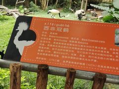 -深圳野生动物园