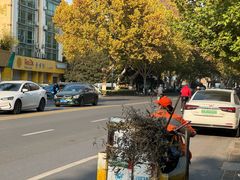 -三百碗宝应长鱼面(板仓街店)