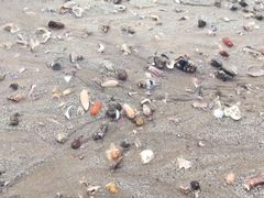 -北海金海湾红树林生态旅游区